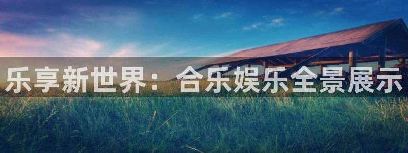wg电子