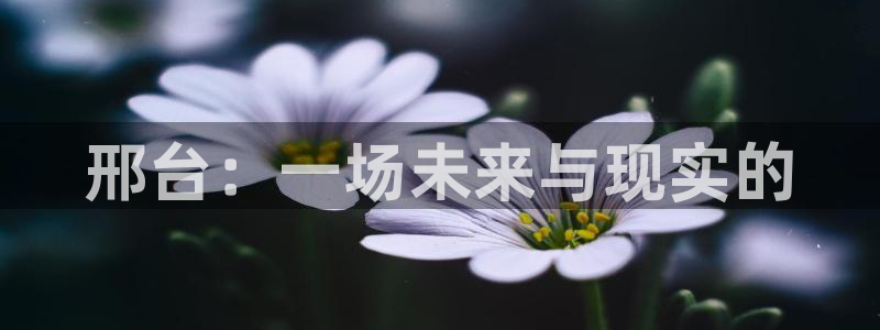 wg电子平台