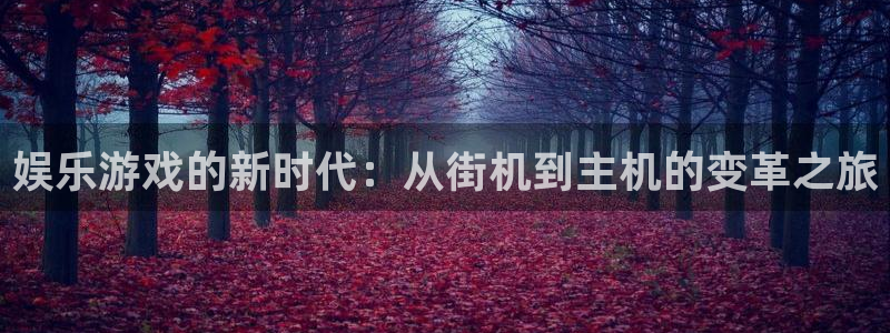 wg电子平台
